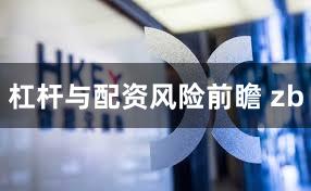 杠杆与配资风险前瞻 zb